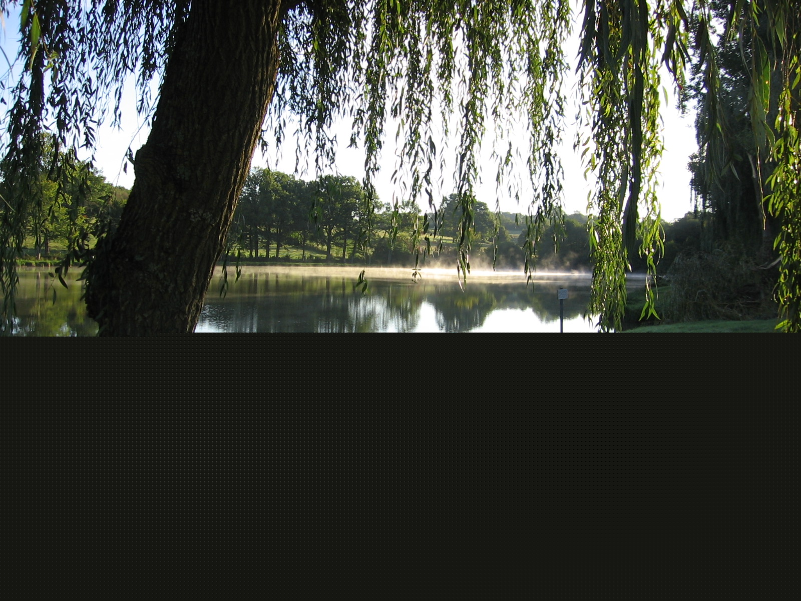 etang_etephoto_025.jpg